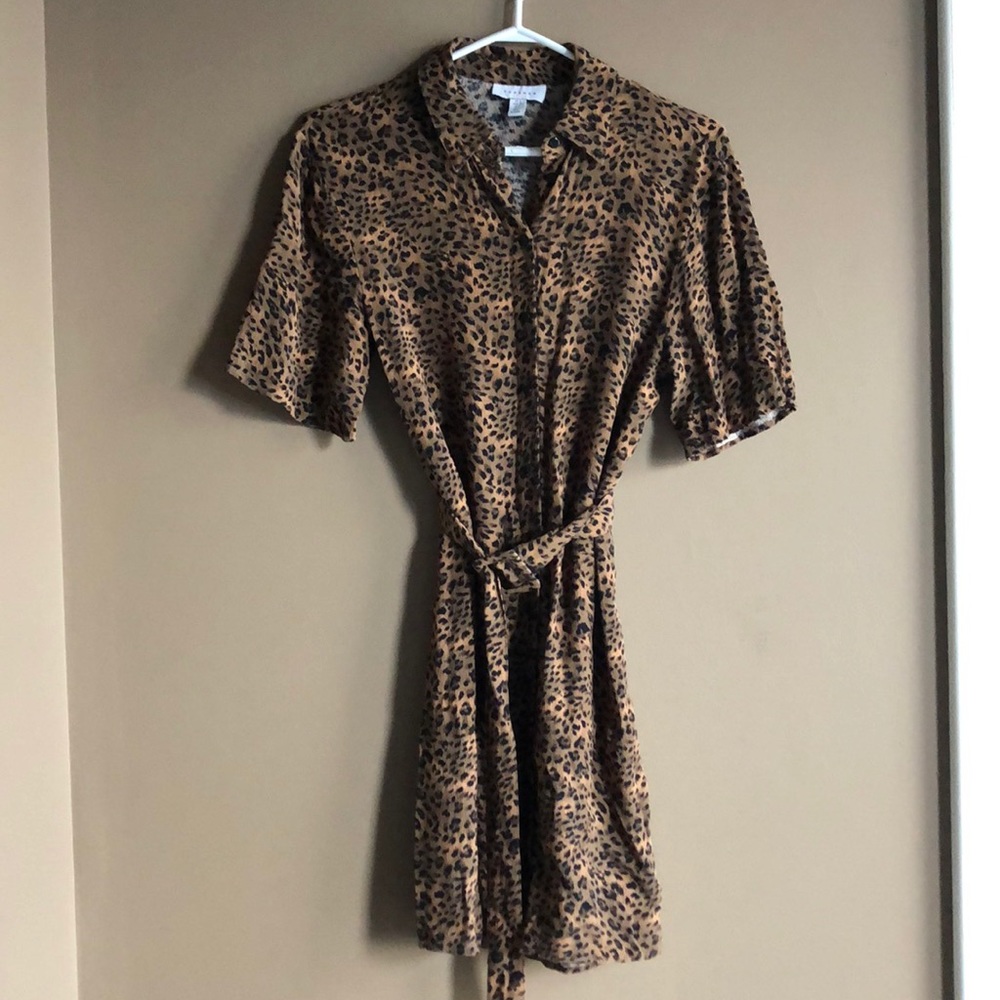 Topshop shirt dress